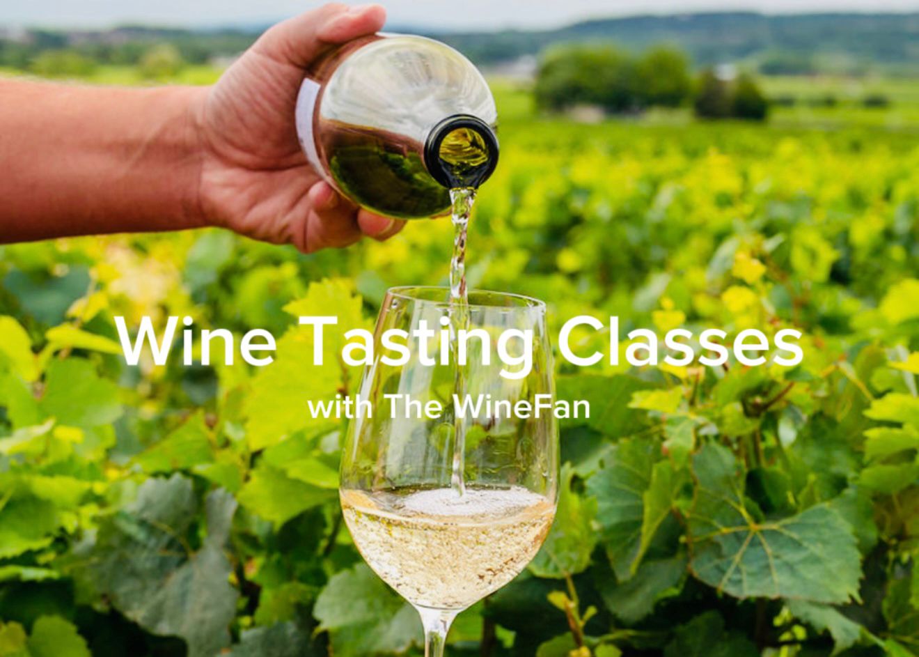 0 WINE TASTING